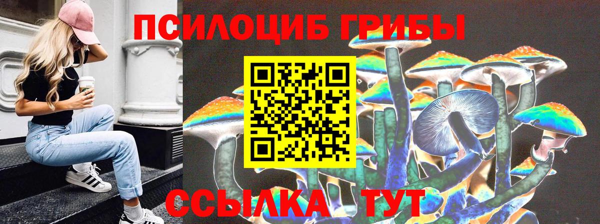 Галлюциногенные грибы мицелий  Вход с VPN  Уссурийск 